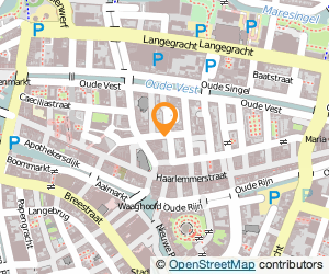 Bekijk kaart van Rigshop.nl  in Leiden