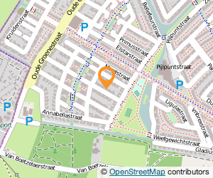 Bekijk kaart van Schechtman Holding B.V.  in Nijmegen