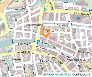 Bekijk kaart van De Gouden Roos  in Leiden