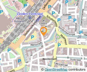 Bekijk kaart van Tempo-Team in Leiden