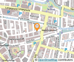 Bekijk kaart van Project SoKo  in Leiden