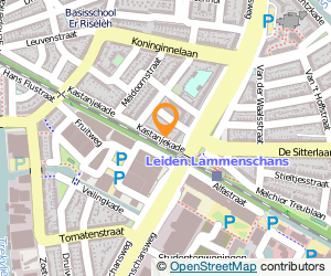 Bekijk kaart van E. Borger  in Leiden
