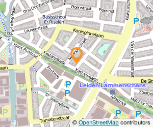 Bekijk kaart van Goudsmid-Steengraveur Jacqueline Koppers in Leiden