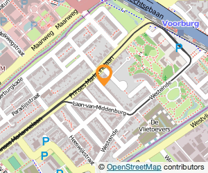 Bekijk kaart van Nancy Willems  in Voorburg