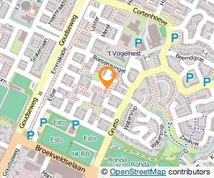 Bekijk kaart van Netwerkje B.V.  in Bodegraven