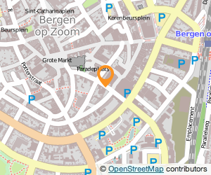 Bekijk kaart van De Hollandsche Tuyn  in Bergen op Zoom