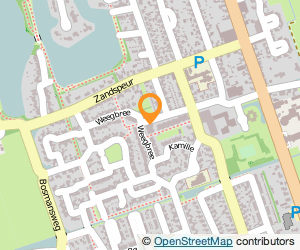 Bekijk kaart van Raiffeisenstraat  in Nieuwleusen