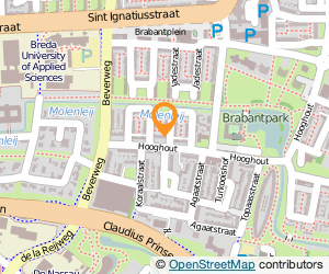Bekijk kaart van Wiesje Peels project in beeld  in Breda
