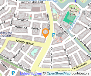 Bekijk kaart van Doppio IT Services B.V.  in Leiden