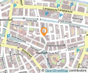 Bekijk kaart van Cosmo Hairstyling in Leiden