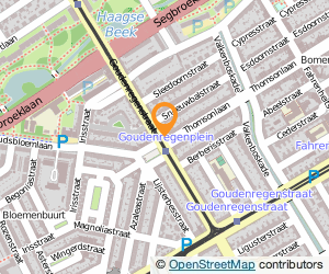 Bekijk kaart van Domino's Pizza in Den Haag