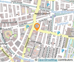Bekijk kaart van Kruizinga Research Services  in Leiden