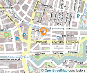 Bekijk kaart van Skyler store  in Leiden
