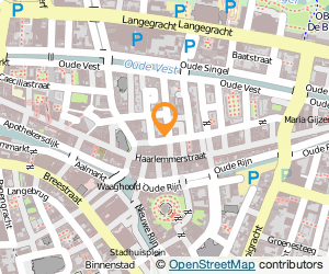 Bekijk kaart van Toko BungaMas in Leiden