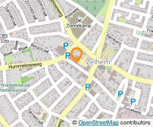 Bekijk kaart van Samtosha Store  in Zelhem