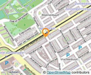 Bekijk kaart van Cafe The Big Apple in Den Haag