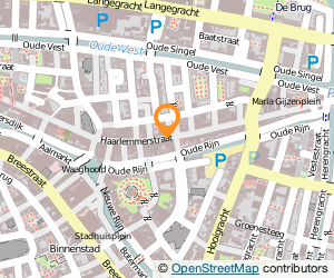 Bekijk kaart van Foot Locker in Leiden