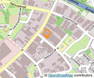 Bekijk kaart van Merit Medical Coatings  in Venlo