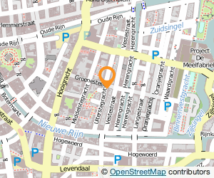 Bekijk kaart van Henque van Maanen Art Direction B.V. in Leiden